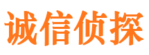 阜宁市调查公司